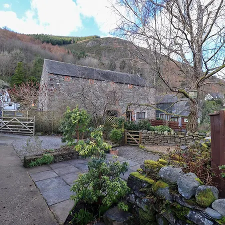 בית נופש Jasmine קזיק